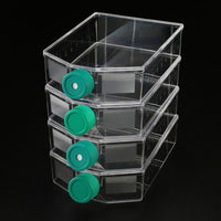 Cell Culture Flask with Filter Cap,PS, 225cm2, TC treated, Sterile.5/bag, 5bags/case|700225