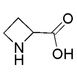 DL-Azetidine-2-carboxylic acid|17777|20063-89-2