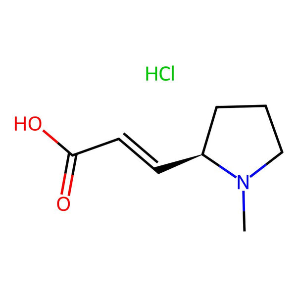 (R,E)-3-(1-Methylpyrrolidin-2-yl)acrylic acid hydrochloride|CS-0110890|2243041-69-0