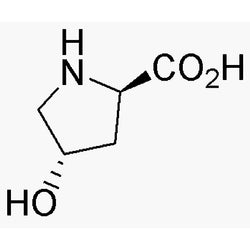 trans-D-4-Hydroxyproline|05976|3398-22-9