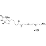 Biotinyl-1-amino-3,6-dioxa-8-octanamine hydrochlride|30504|862373-14-6