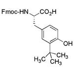 Fmoc-L-Tyr(3-tBu)-OH|31667|220808-32-2