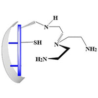 Tetraamine Sulfide Alkyl Silica, metals and organic impurity scavenger|16-0820