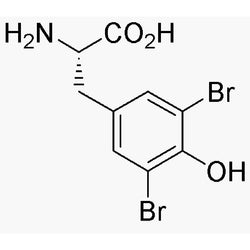 L-3,5-Dibromotyrosine|02856|300-38-9