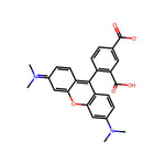 5-TAMRA|CS-3067|91809-66-4