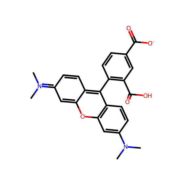 5-TAMRA|CS-3067|91809-66-4
