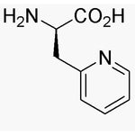 3-(2'-Pyridyl)-D-alanine dihydrochloride|06212|37535-52-7