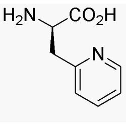 3-(2'-Pyridyl)-D-alanine dihydrochloride|06212|37535-52-7