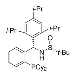 [S(R)]-N-((S)-(2-(Dicyclohexylphosphino)phenyl)(2,4,6-triisopropylphenyl)methyl)-2-methyl-2-propanesulfinamide, 95%|15-8849