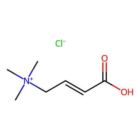 Levocarnitine EP Impurity A Chloride（E-Isomer）|C4X-12921|144205-67-4