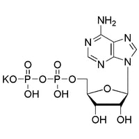 Adenosine-5'-diphosphate potassium salt|00781|72696-48-1