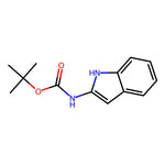 tert-Butyl (1H-indol-2-yl)carbamate|CS-W020467|167954-49-6