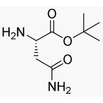 L-Asparagine tert-butyl ester|05881|25456-86-4