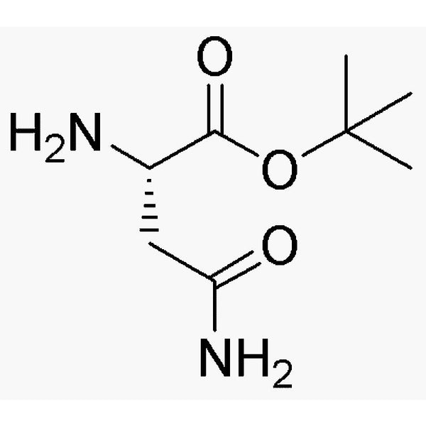 L-Asparagine tert-butyl ester|05881|25456-86-4