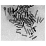 Gold Gemini Nanorods Kit, CTAB Free (Wavelength 650-850 nm)|96-1549