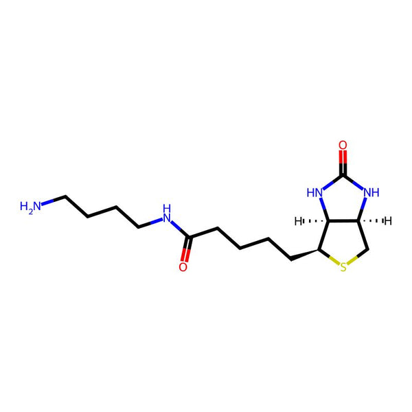 Biotin-C4-amide-C5-NH2|CS-0147804|151294-96-1