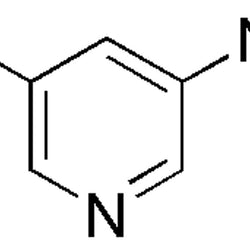3-Amino-5-bromopyridine|17002|13535-01-8
