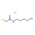 N-(4-Aminobutyl)-2-chloroacetamide hydrochloride|CS-0224033|1423029-28-0