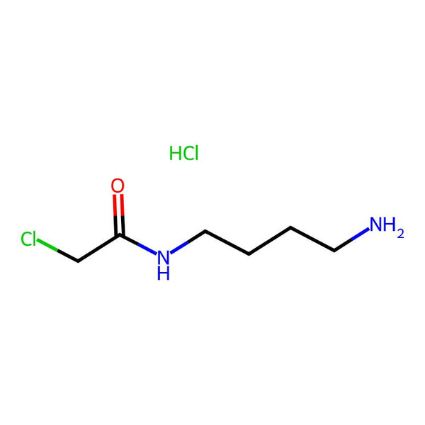 N-(4-Aminobutyl)-2-chloroacetamide hydrochloride|CS-0224033|1423029-28-0
