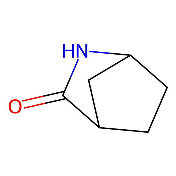 2-Azanorbornan-3-one|CS-B1546|24647-29-8