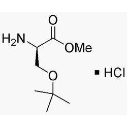 O-tert-Butyl-D-serine methyl ester hydrochloride|03142|78537-14-1