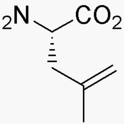 4,5-Dehydro-L-leucine|05807|87392-13-0