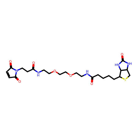 Biotinyl-PEG2-maleimide|CPTD785488|305372-39-8