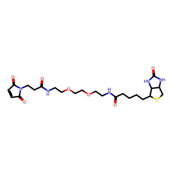 Biotin-PEG2-Mal|CS-W011480|305372-39-8