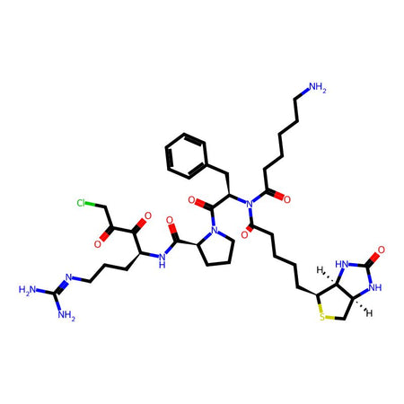 Biotinyl-ε-aminocaproyl-D-Phe-Pro-Arg-chloromethylketone|CPTD786392|131104-10-4