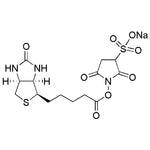 Biotin 3-sulfo-N-hydroxysuccinimide ester sodium salt|22982|119616-38-5
