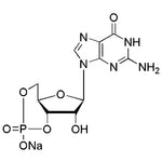 Guanosine-3':5'-cyclic monophosphate monosodium salt|02548|40732-48-7