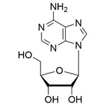 Adenosine free base, Bacterial Endotoxins = 50 EU/100g|29823|58-61-7