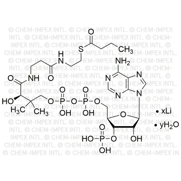 Butyryl coenzyme?A lithium salt hydrate|01882|102282-28-0