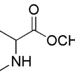 1,2,3,4-Tetrahydroisoquinoline-3-carboxylic acid methyl ester hydrochloride|17535|57060-88-5