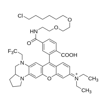 YL578-Halo, 95%|9332516