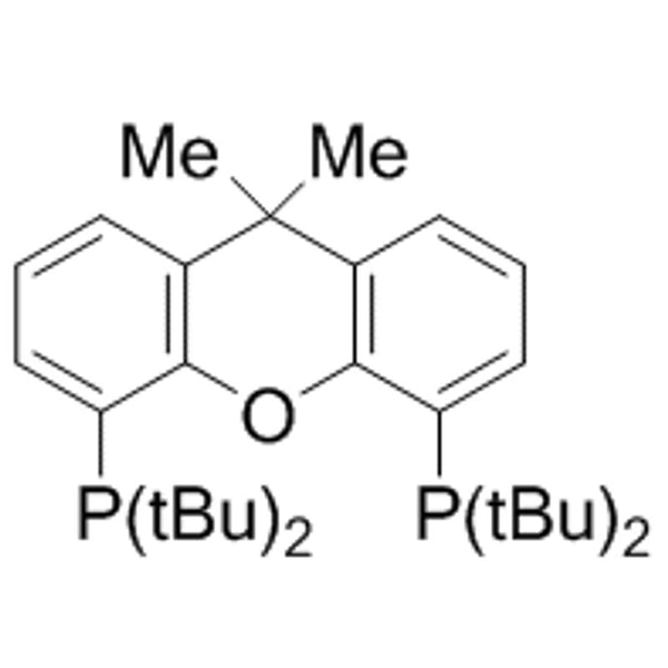 9,9-Dimethyl-4,5-bis(di-t-butylphosphino)xanthene, min. 97% t-Bu-XANTPHOS|15-1241|856405-77-1
