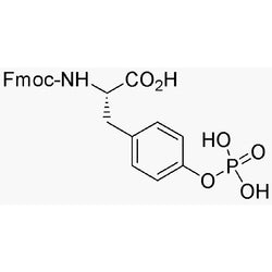Fmoc-O-phospho-L-tyrosine|03747|147762-53-6