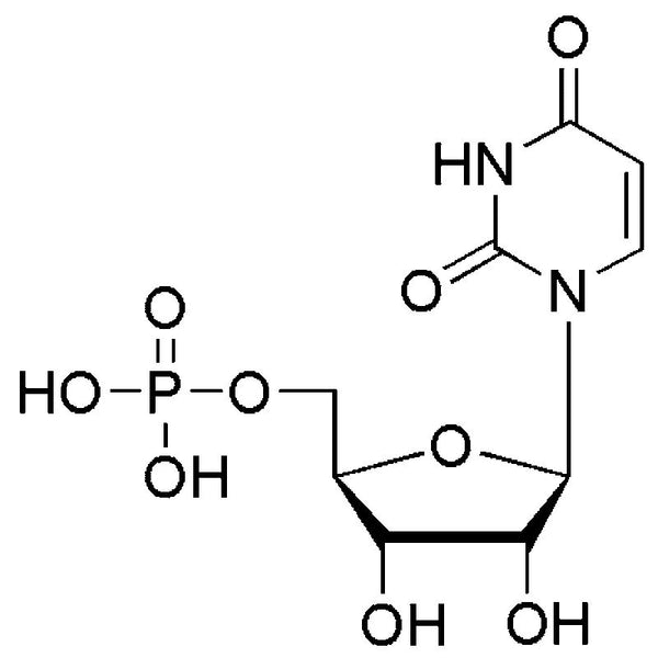 Uridine-5'-monophosphate|00568|58-97-9