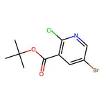 5-Bromo-2-chloro-nicotinic acid tert-butyl ester, 95%|07-0212|1335055-73-6