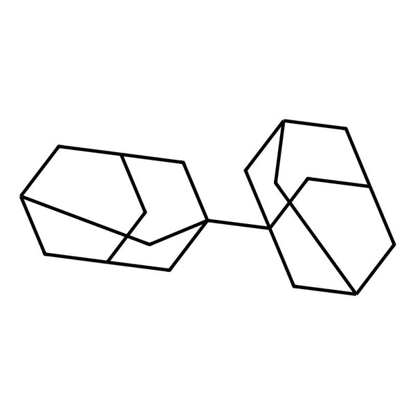1,1'-Bi(adamantane)|CS-W014584|3732-31-8