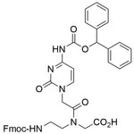 Fmoc-PNA-C(Bhoc)-OH|33570|186046-81-1