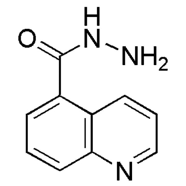 Quinoline-5-carboxylic acid hydrazide|19507|96541-83-2