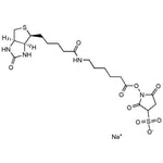 Biotinamidohexanoic acid 3-sulfo-N-hydroxysuccinimide ester sodium salt|00859|127062-22-0