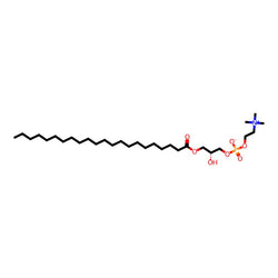 C22:0lysophosphatidvlcholine|C1170977|125146-65-8