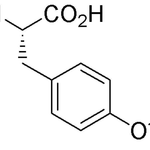 Boc-O-allyl-L-tyrosine|07270|127132-38-1