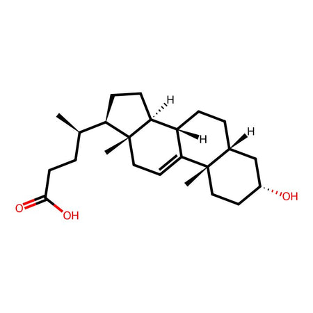 Ursodeoxycholic Acid Impurity 68|C4X-142268|62797-60-8