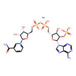 b-Nicotinamide adenine dinucleotide phosphate monosodium salt|49477|1184-16-3