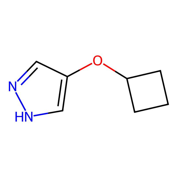 4-Cyclobutoxy-1H-pyrazole, 95%|07-0175|1890865-42-5