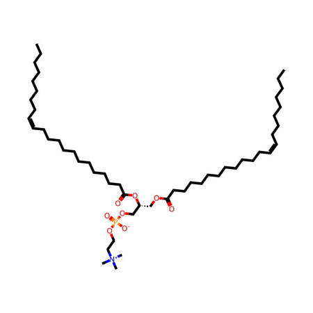 1,2-Dierucoyl-sn-glycero-3-phosphocholine, 98%|1396606|51779-95-4