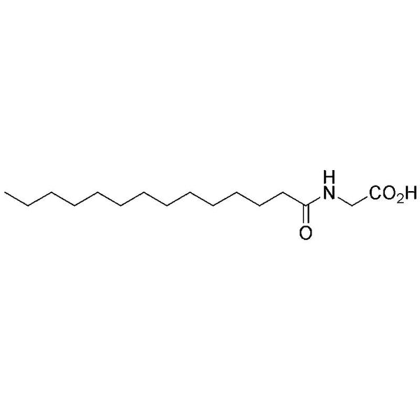 N-Myristoyl-glycine|07079|14246-55-0